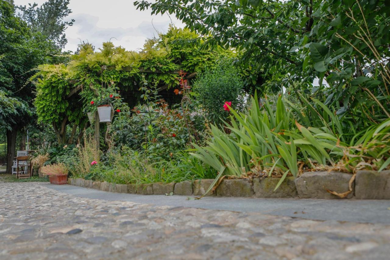 Bed and Breakfast Il Germano Reale Alba  Exterior foto