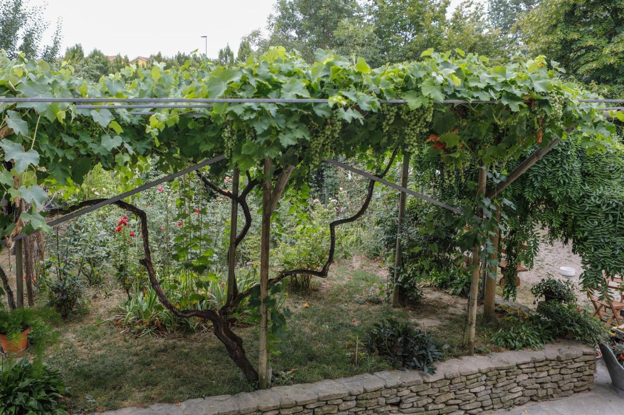 Bed and Breakfast Il Germano Reale Alba  Exterior foto